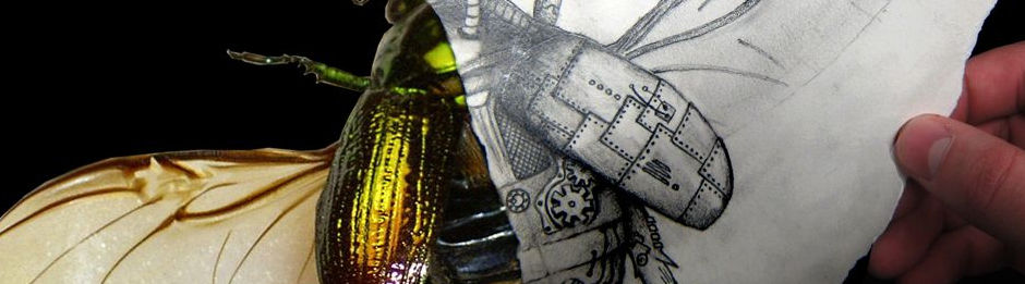 Take Ap Art And Design Online Iart Institute Take Ap Art And Design Online Iart Institute