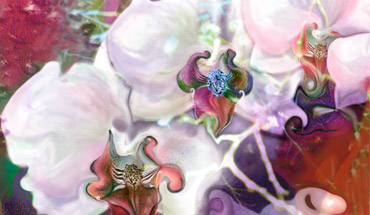 introcomputergraphicsnewimage-160920-57e172322b02f